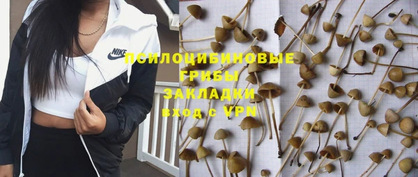 МДПВ Арсеньев