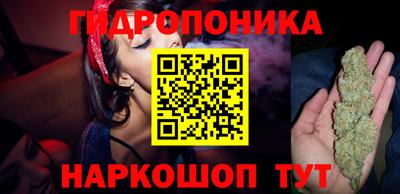 шишки Туймазы