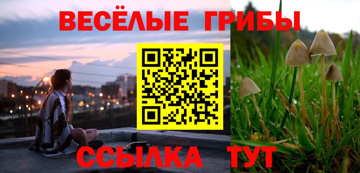 Галлюциногенные грибы GOLDEN TEACHER Пятигорск