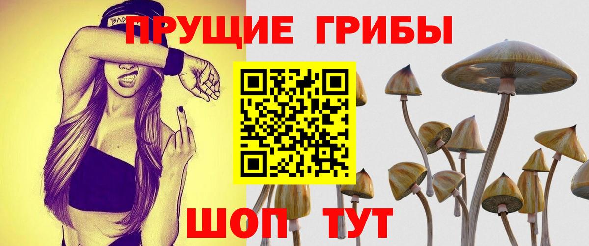 Галлюциногенные грибы мухоморы  Псилоцибиновые грибы прущие грибы  Пятигорск  Вход с VPN 